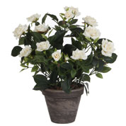 plante artificielle - rosier blanc - mica